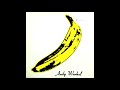 The Velvet Underground & Nico - European Son to Delmore Schwartz