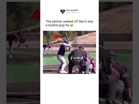 Pitcher just knows it’s a no fly zone out there #baseball #funny