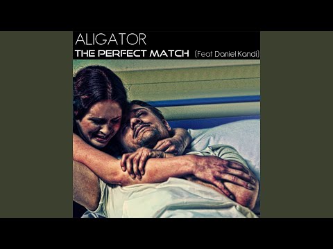 The Perfect Match (feat. Daniel Kandi) [DJ Aligator's Chill Out Remix]