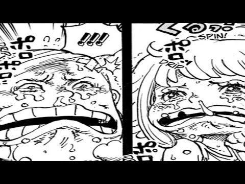 Animeland  One Piece Amino