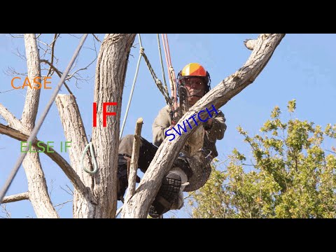 Introduction to Branchless Programming