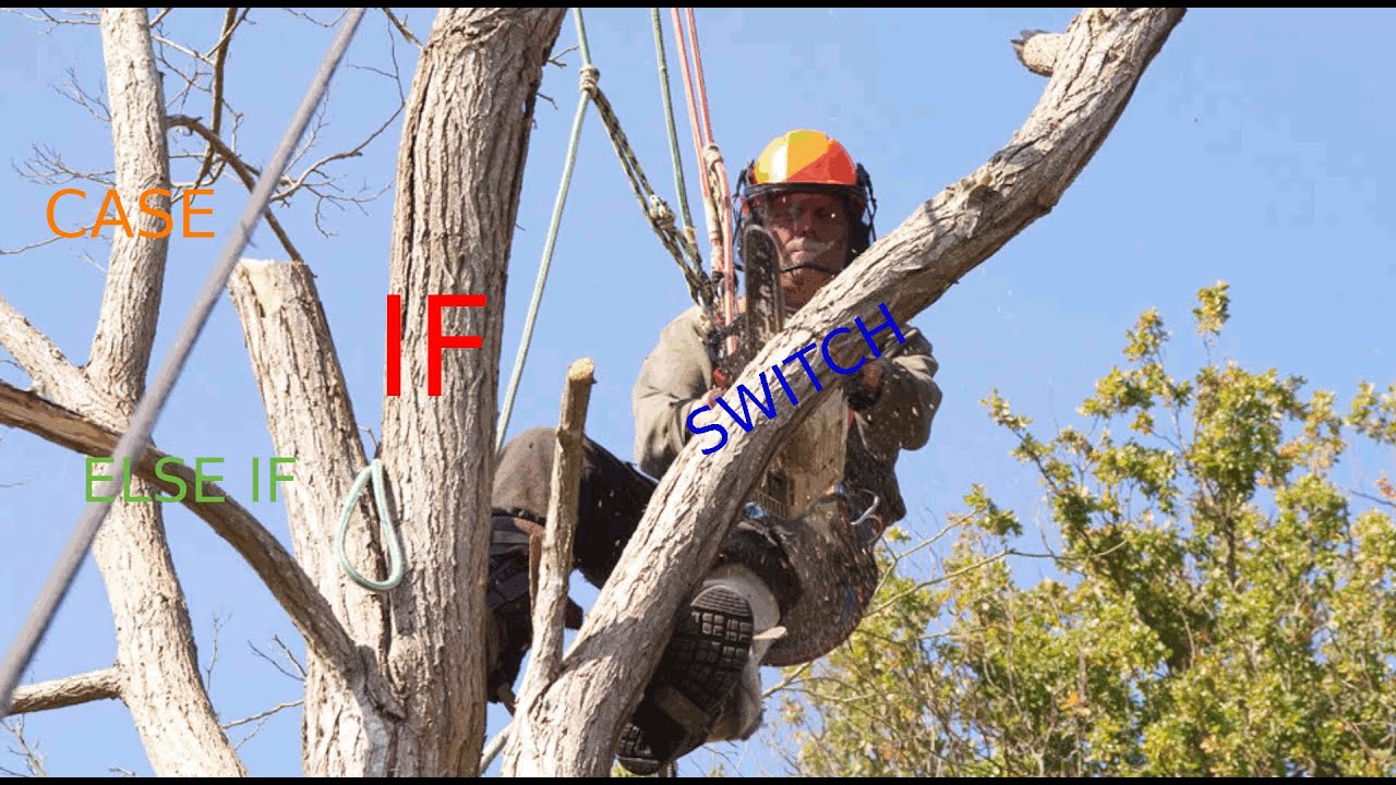 Introduction to Branchless Programming