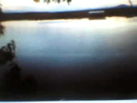 rad claudiu cherelus