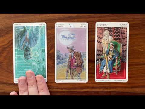 Improve any situation 24 July 2022 Your Daily Tarot Reading with Gregory Scott