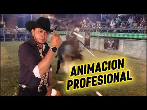 Villa Santa Danlí El Paraíso Honduras, choque de ganaderías, diciembre 2025 | Cybersound Estudio 🎙🎬