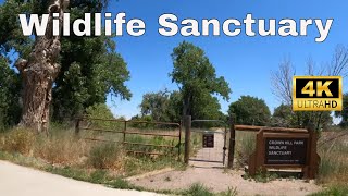 Crown Hill Park Wildlife Sanctuary   4K