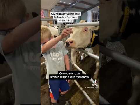 , title : 'One year with the robots! #youtubeshorts #farming #cows #shorts #cute #lifestyle #subscribe'