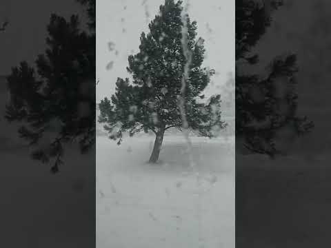 Blizzard April 23, 2022