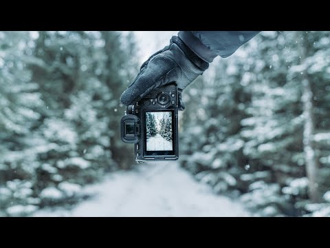 Relaxing POV Nature Photography｜Frozen Forest Exploring