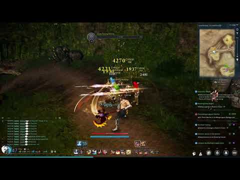 BNS NEO EU - Destroyer Execute Skill for the Win