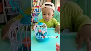 Download lagu bayi lucu bilang papa 😊🥰 #shorts #viral #subscribe #lucu mp3