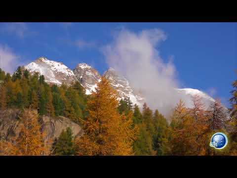 Il Buongiorno si vede dalla Bibbia 17 09 2017