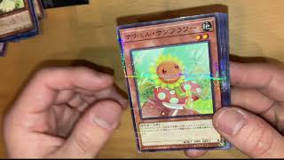 【開封の儀7】Secret Utility BOX開封！