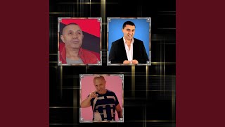 Download lagu Eu am frati miliardari mp3