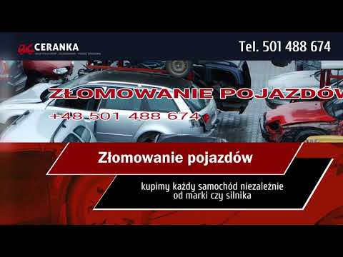 Zobacz filmy filmy