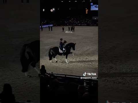 Preferite il dressage o salto?😍