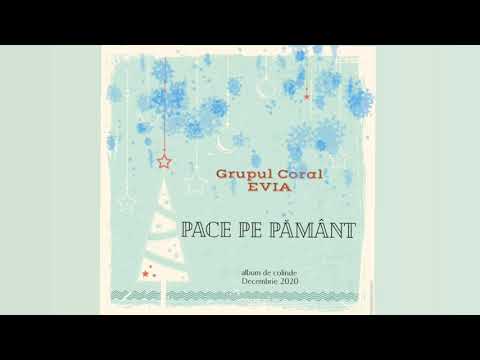 Grupul Coral EVIA “La Vitleem colo-n jos” Nicolae Lungu