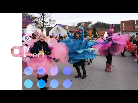 Faschingsumzug Höchstädt LIVE