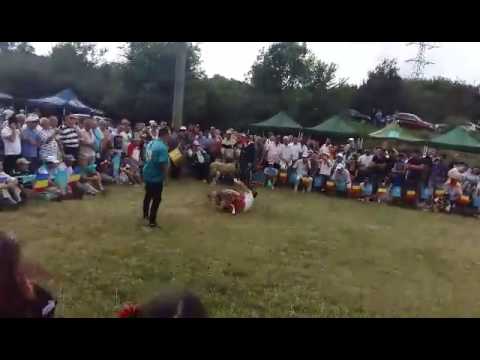 Tepres - Murfatlar 2