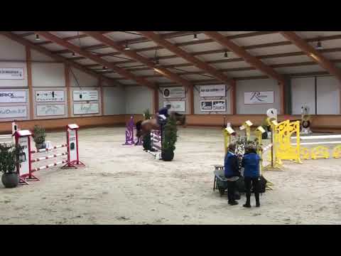 Manuel Albano - Dynamite Napoleon 2014 Lordanos x Balou du Rouet