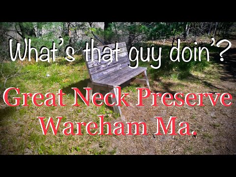 Walking Great Neck Preserve. Wareham, Ma.