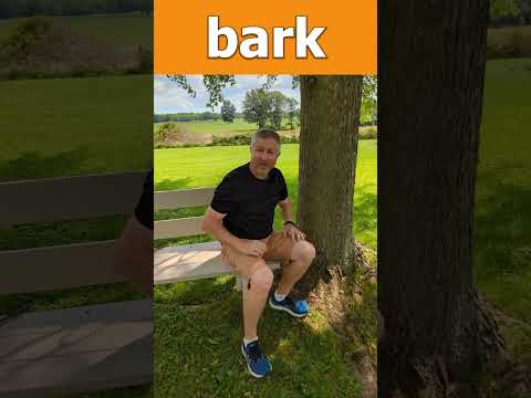 Let's Learn English! The Parts of a Tree #learnenglish #englishlesson