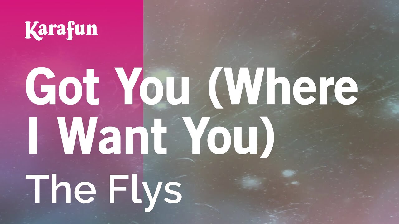 Got You (Where I Want You) - The Flys | Karaoke Version | KaraFun