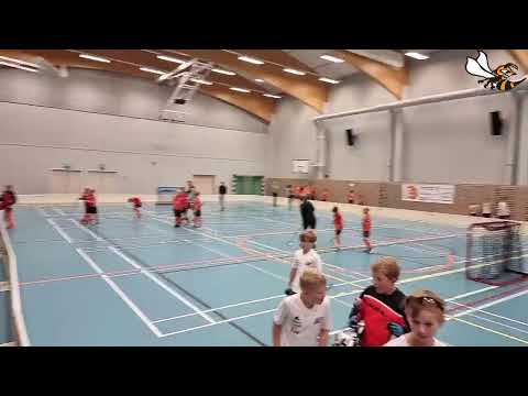 O2 P11 Oranssi - Leppä valkoinen