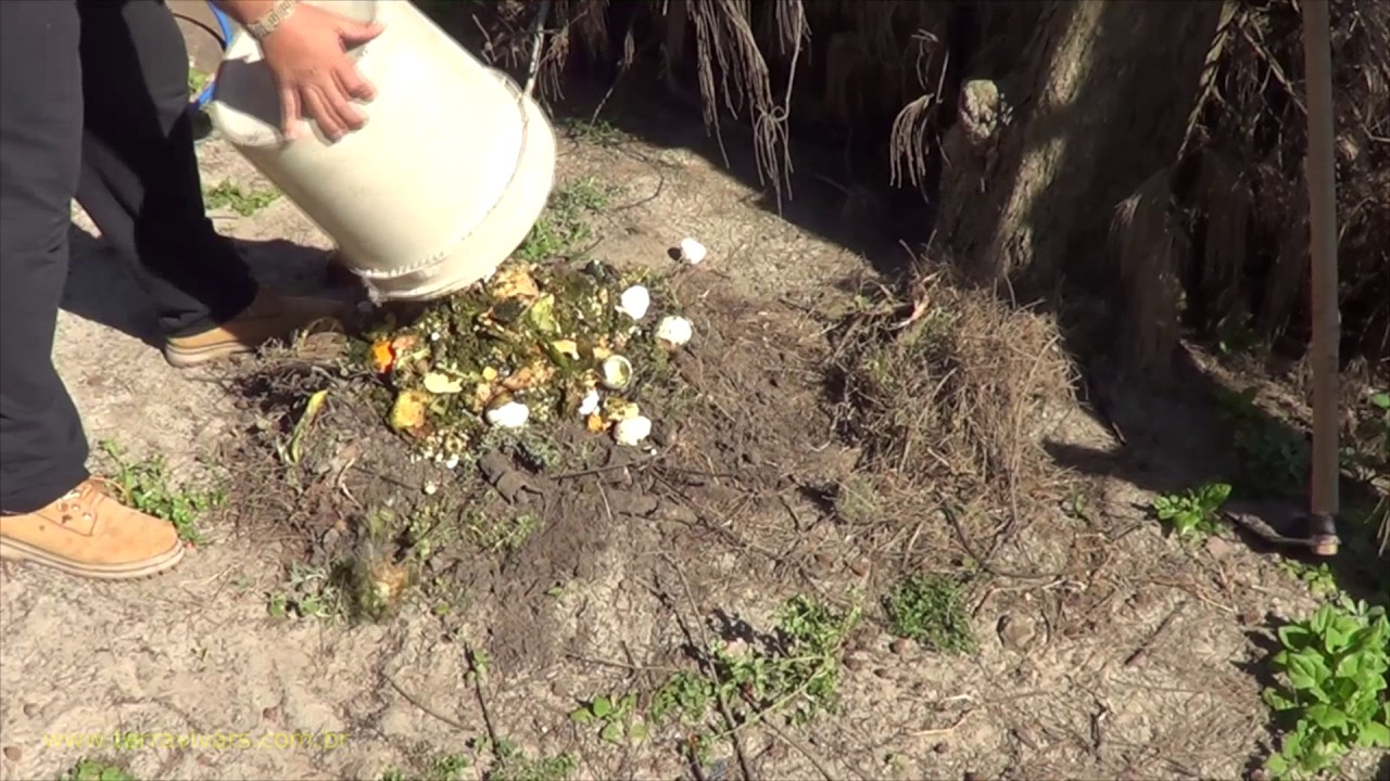 Como Fazer Compostagem (sem usar composteira)