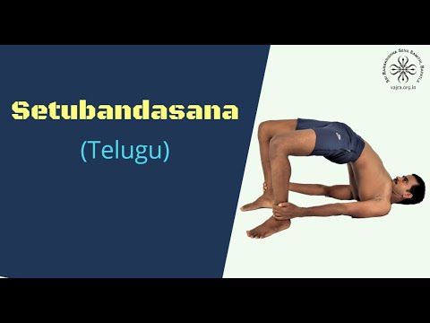 Setubandhasana in Telugu
