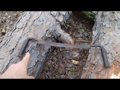 how to dry pine logs for roundwood timber framing in 2023 (updated)