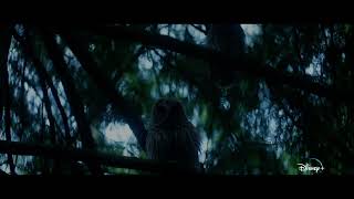 ✨原創影集《#波西傑克森》(暫譯) 前導預告登，Disney+即將精彩上線