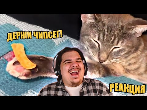 ▷ ЗАСМЕЯЛСЯ ПРОИГРАЛ | ТЕСТ НА ПСИХИКУ ЧЕЛЕНДЖ | UNUSUAL MEMES COMPILATION V352 | РЕАКЦИЯ