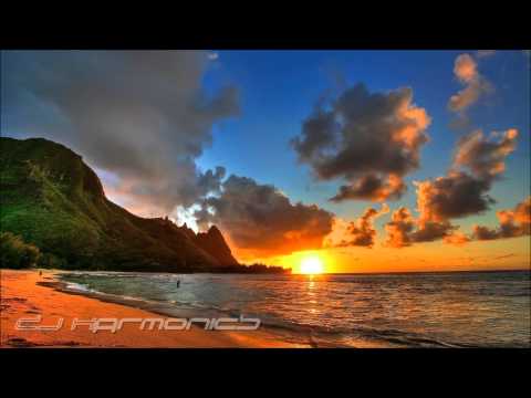 DJ Harmonics & DJ Striden - Please Remember