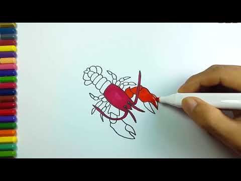 Colouring page - coloring pages with fish for kids