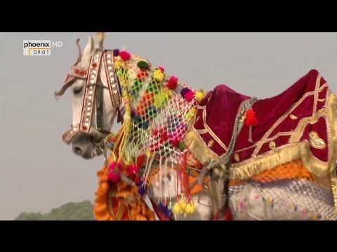 , title : '(Doku in HD) Im Bann der Pferde (2/4) Indien'