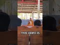 A cat is preventing a Buddhist monk from praying