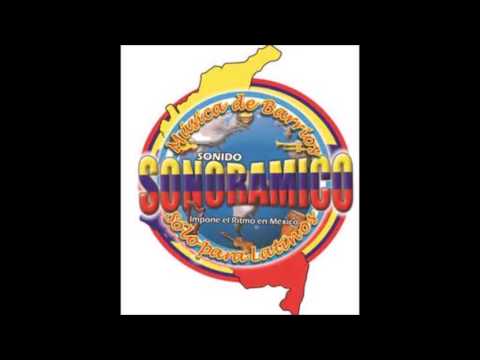 LA DANZA DEL MONO UN EXITO DE SONIDO SONORAMICO 2016 LIMPIA