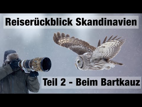 Reiserückblick Skandinavien Teil 2 - Auf den Spuren des Bartkauzes