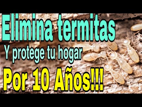 , title : 'Como Eliminar Termitas, y Protege tu hogar por 10 años!!!'