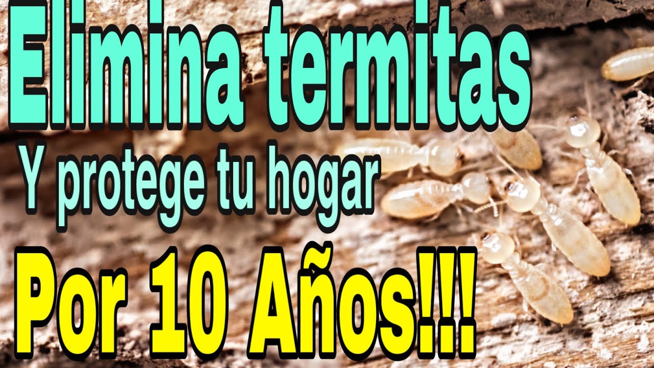 Como Eliminar Termitas, y Protege tu hogar por 10 años!!!