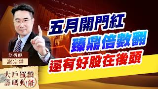 五月開門紅臻鼎倍數翻還有好股在後頭 (圖)