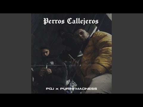 Perros Callejeros