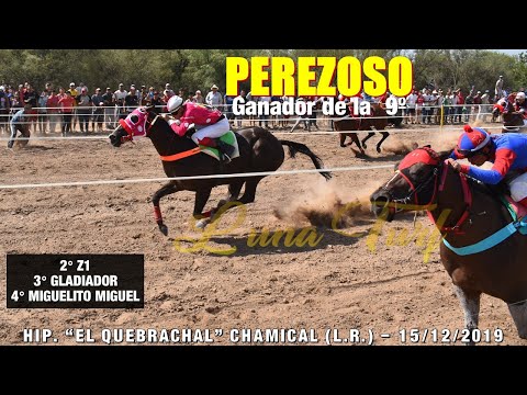 HIP. "EL QUEBRACHAL" CHAMICAL - 15/12/2019 - PEREZOSO, Z1, GLADIADOR Y MIGUELITO MIGUEL