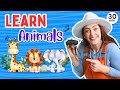 Learn Animals | Names & Sounds | Zoo Safari | Kids Songs | Toddler Learning Video | Phonics & Signs