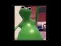 I Love My Daddy Kermit Edition