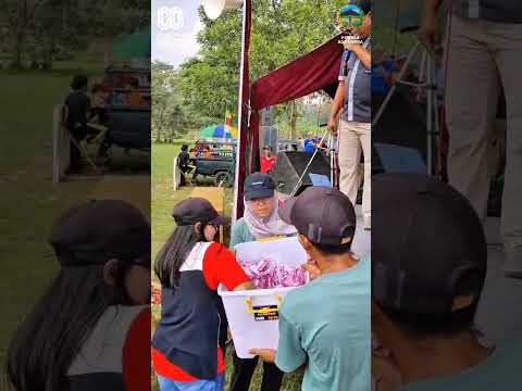 HUT RI KE 80 - JALAN SEHAT 2025