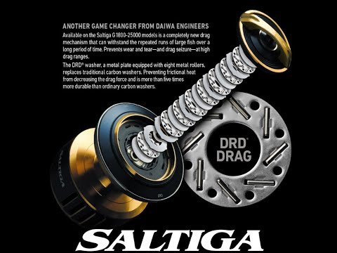 25 SALTIGA DAI...