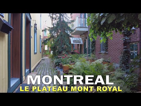 Montreal Walking Tour in Plateau Mont Royal Summer 2022