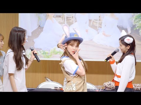 190623 '꽃 흉내내기로 시작을 했는데  ?' 오마이걸 OHMYGIRL TCC센터 직캠 Fancam